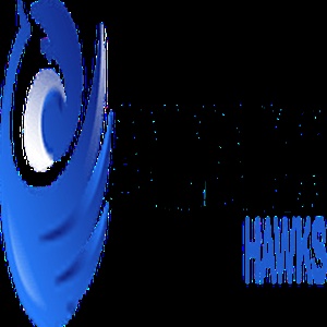 animation hawks