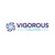 Vigorous IT Solutions's profile picture