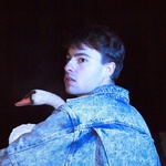 Marius & the Phenomena's profile picture