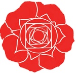 Rose Studios's profile picture