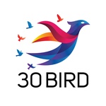 30 Bird Media's profile picture